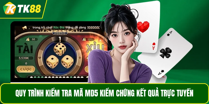 Quy trình kiểm tra mã MD5 kiểm chứng kết quả trực tuyến